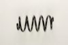BMW 31336750338 Coil Spring